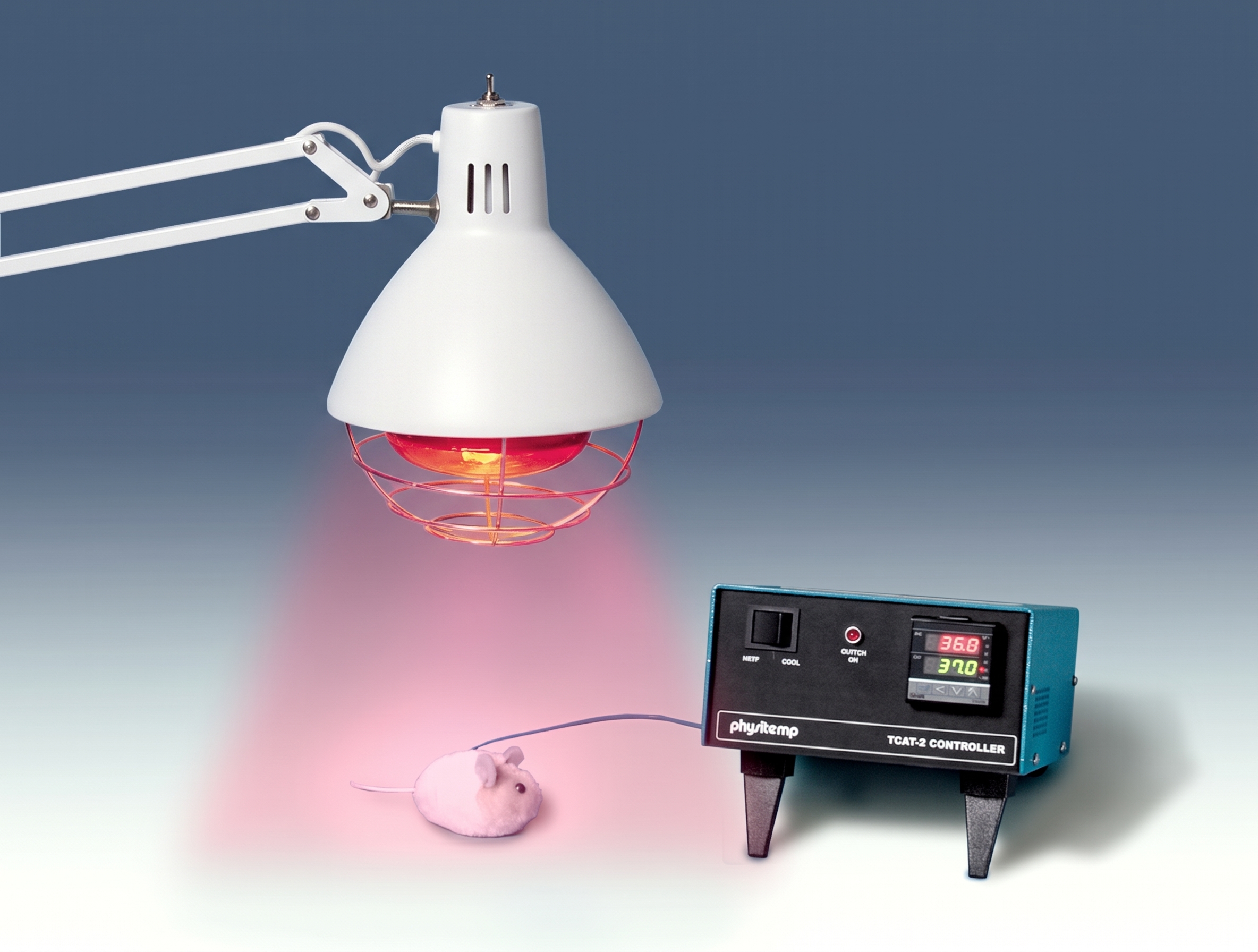 HL-1/FS Heat Lamp with  Floor Stand in Temp Control Accessories